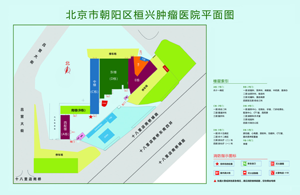 黄色免费日逼片黄色片黄色片北京市朝阳区桓兴肿瘤医院平面图